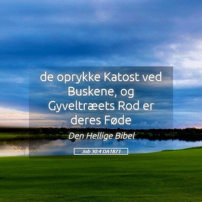 Picture 05 - Job 30:4 DA1871 - de oprykke Katost ved Buskene, og Gyveltræets - Bible Verse Picture