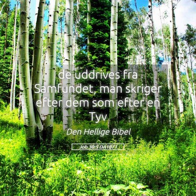 Picture 05 - Job 30:5 DA1871 - de uddrives fra Samfundet, man skriger efter dem - Bible Verse Picture