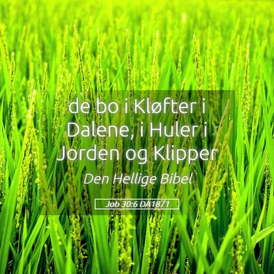 Picture 05 - Job 30:6 DA1871 - de bo i Kløfter i Dalene, i Huler i Jorden og - Bible Verse Picture