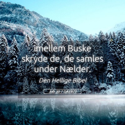 Picture 05 - Job 30:7 DA1871 - imellem Buske skryde de, de samles under - Bible Verse Picture
