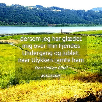 Picture 05 - Job 31:29 DA1871 - dersom jeg har glædet mig over min Fjendes - Bible Verse Picture