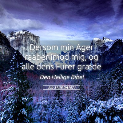 Picture 05 - Job 31:38 DA1871 - Dersom min Ager raaber imod mig, og alle dens - Bible Verse Picture