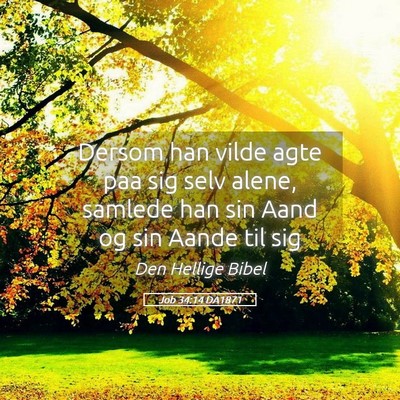 Picture 05 - Job 34:14 DA1871 - Dersom han vilde agte paa sig selv alene, samlede - Bible Verse Picture