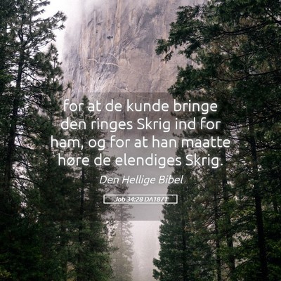 Picture 05 - Job 34:28 DA1871 - for at de kunde bringe den ringes Skrig ind for - Bible Verse Picture