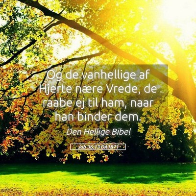 Picture 05 - Job 36:13 DA1871 - Og de vanhellige af Hjerte nære Vrede, de raabe - Bible Verse Picture