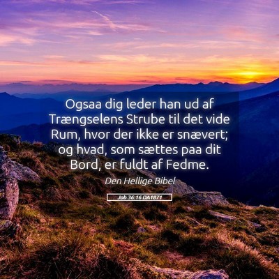 Picture 05 - Job 36:16 DA1871 - Ogsaa dig leder han ud af Trængselens Strube til - Bible Verse Picture