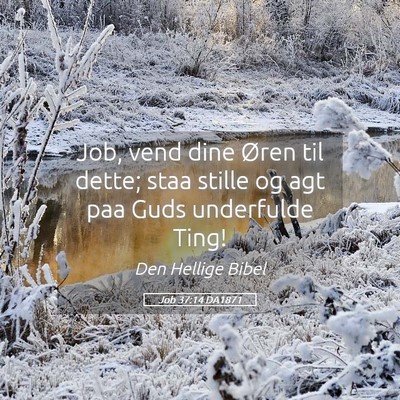 Picture 05 - Job 37:14 DA1871 - Job, vend dine Øren til dette; staa stille og - Bible Verse Picture