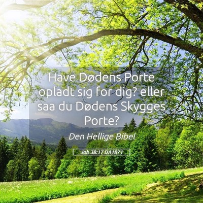 Picture 05 - Job 38:17 DA1871 - Have Dødens Porte opladt sig for dig? eller saa - Bible Verse Picture