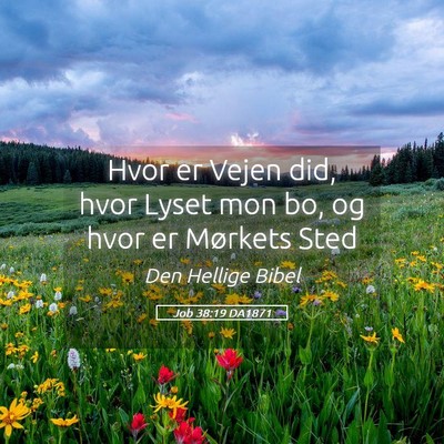 Picture 05 - Job 38:19 DA1871 - Hvor er Vejen did, hvor Lyset mon bo, og hvor er - Bible Verse Picture