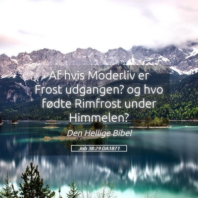 Picture 05 - Job 38:29 DA1871 - Af hvis Moderliv er Frost udgangen? og hvo fødte - Bible Verse Picture