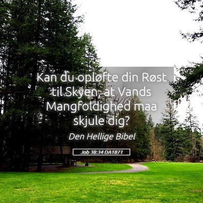 Picture 05 - Job 38:34 DA1871 - Kan du opløfte din Røst til Skyen, at Vands - Bible Verse Picture