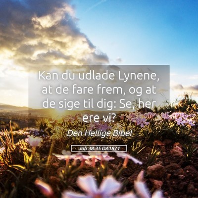 Picture 05 - Job 38:35 DA1871 - Kan du udlade Lynene, at de fare frem, og at de - Bible Verse Picture