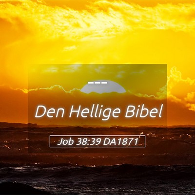 Picture 05 - Job 38:39 DA1871 -  - Bible Verse Picture