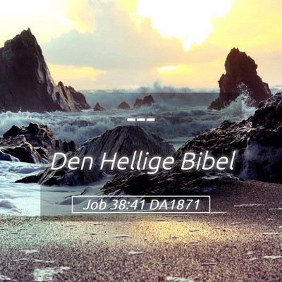 Picture 05 - Job 38:41 DA1871 -  - Bible Verse Picture