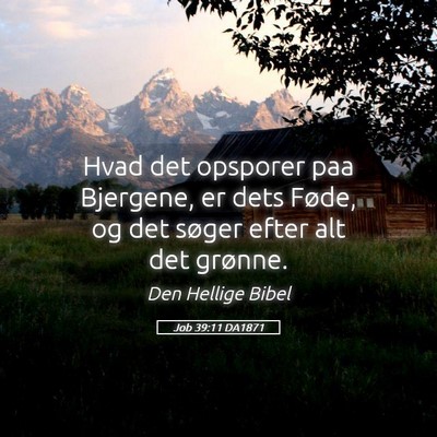Picture 05 - Job 39:11 DA1871 - Hvad det opsporer paa Bjergene, er dets Føde, og - Bible Verse Picture