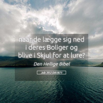 Picture 05 - Job 39:2 DA1871 - naar de lægge sig ned i deres Boliger og blive i - Bible Verse Picture