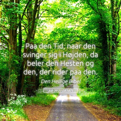 Picture 05 - Job 39:21 DA1871 - Paa den Tid, naar den svinger sig i Højden, da - Bible Verse Picture