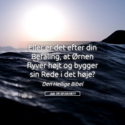 Picture 05 - Job 39:30 DA1871 - Eller er det efter din Befaling, at Ørnen flyver - Bible Verse Picture