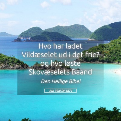 Picture 05 - Job 39:8 DA1871 - Hvo har ladet Vildæselet ud i det frie? og hvo - Bible Verse Picture
