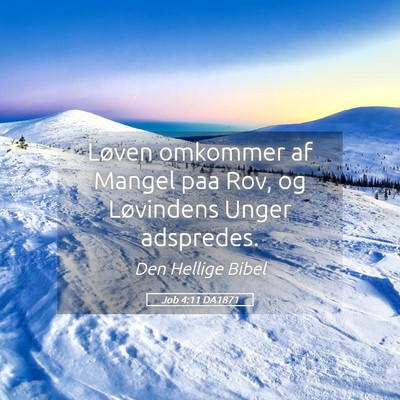 Picture 05 - Job 4:11 DA1871 - Løven omkommer af Mangel paa Rov, og Løvindens - Bible Verse Picture