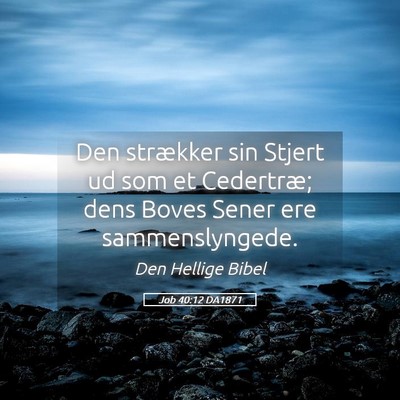 Picture 05 - Job 40:12 DA1871 - Den strækker sin Stjert ud som et Cedertræ; - Bible Verse Picture