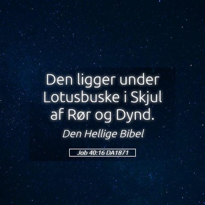 Picture 05 - Job 40:16 DA1871 - Den ligger under Lotusbuske i Skjul af Rør og - Bible Verse Picture