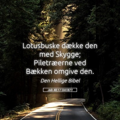 Picture 05 - Job 40:17 DA1871 - Lotusbuske dække den med Skygge; Piletræerne - Bible Verse Picture