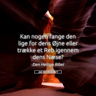 Picture 05 - Job 40:19 DA1871 - Kan nogen fange den lige for dens Øjne eller - Bible Verse Picture