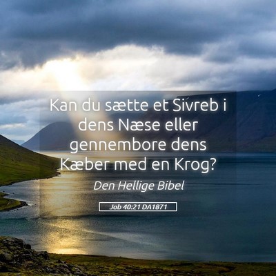 Picture 05 - Job 40:21 DA1871 - Kan du sætte et Sivreb i dens Næse eller - Bible Verse Picture