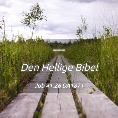Picture 05 - Job 41:26 DA1871 -  - Bible Verse Picture