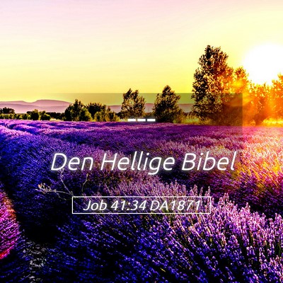 Picture 05 - Job 41:34 DA1871 -  - Bible Verse Picture