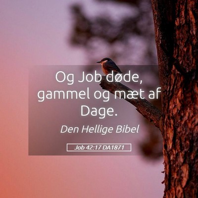 Picture 05 - Job 42:17 DA1871 - Og Job døde, gammel og mæt af - Bible Verse Picture