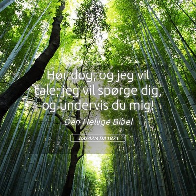 Picture 05 - Job 42:4 DA1871 - Hør dog, og jeg vil tale; jeg vil spørge dig, - Bible Verse Picture
