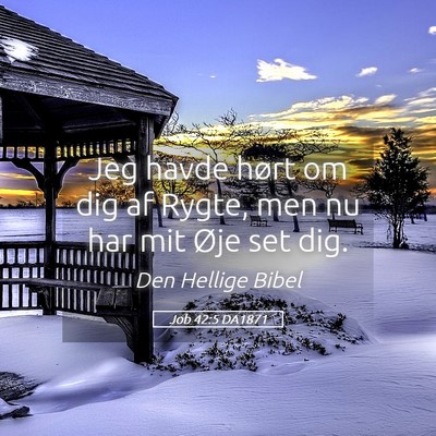 Picture 05 - Job 42:5 DA1871 - Jeg havde hørt om dig af Rygte, men nu har mit - Bible Verse Picture