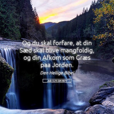 Picture 05 - Job 5:25 DA1871 - Og du skal forfare, at din Sæd skal blive - Bible Verse Picture
