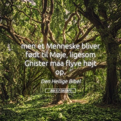 Picture 05 - Job 5:7 DA1871 - men et Menneske bliver født til Møje, ligesom - Bible Verse Picture