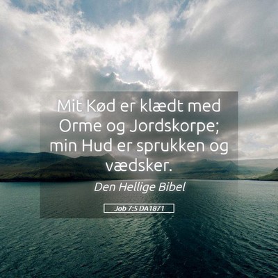 Picture 05 - Job 7:5 DA1871 - Mit Kød er klædt med Orme og Jordskorpe; min - Bible Verse Picture