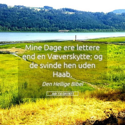 Picture 05 - Job 7:6 DA1871 - Mine Dage ere lettere end en Væverskytte; og de - Bible Verse Picture