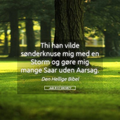 Picture 05 - Job 9:17 DA1871 - Thi han vilde sønderknuse mig med en Storm og - Bible Verse Picture