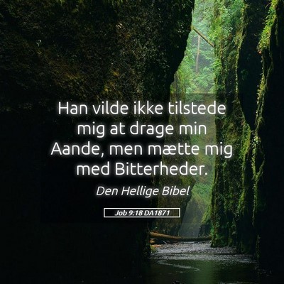 Picture 05 - Job 9:18 DA1871 - Han vilde ikke tilstede mig at drage min Aande, - Bible Verse Picture