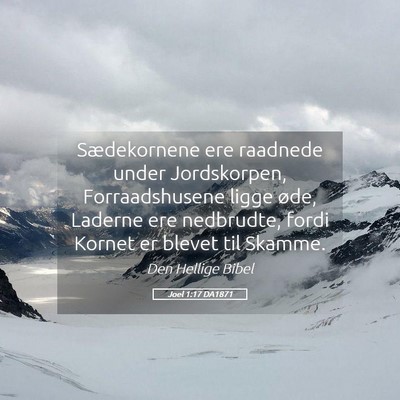 Picture 05 - Joel 1:17 DA1871 - Sædekornene ere raadnede under Jordskorpen, - Bible Verse Picture
