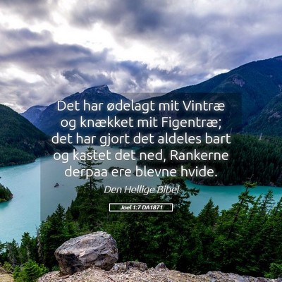 Picture 05 - Joel 1:7 DA1871 - Det har ødelagt mit Vintræ og knækket mit - Bible Verse Picture