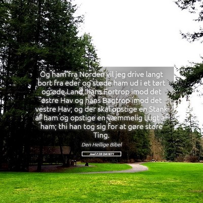 Picture 05 - Joel 2:20 DA1871 - Og ham fra Norden vil jeg drive langt bort fra - Bible Verse Picture