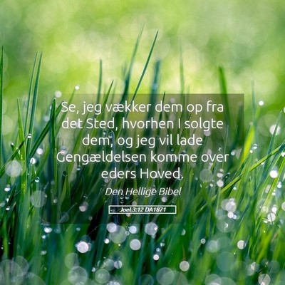 Picture 05 - Joel 3:12 DA1871 - Se, jeg vækker dem op fra det Sted, hvorhen I - Bible Verse Picture
