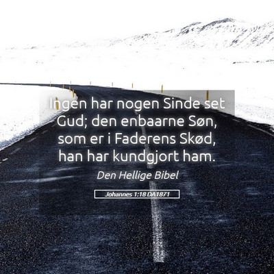 Picture 05 - Johannes 1:18 DA1871 - Ingen har nogen Sinde set Gud; den enbaarne Søn, - Bible Verse Picture