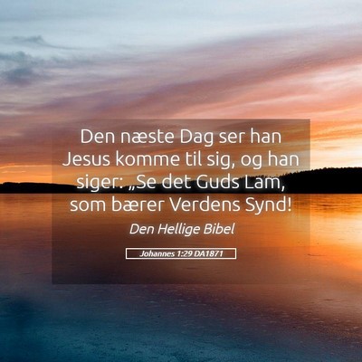 Picture 05 - Johannes 1:29 DA1871 - Den næste Dag ser han Jesus komme til sig, og - Bible Verse Picture