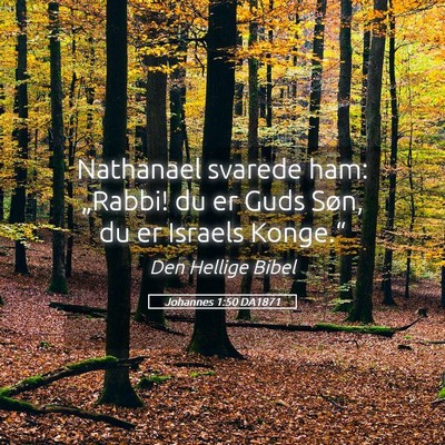 Picture 05 - Johannes 1:50 DA1871 - Nathanael svarede ham: „Rabbi! du er Guds Søn, - Bible Verse Picture