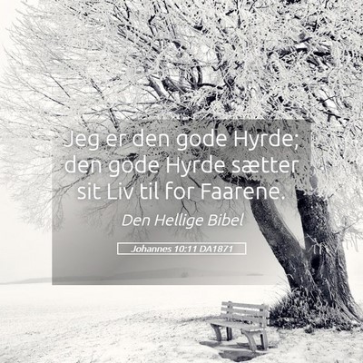 Picture 05 - Johannes 10:11 DA1871 - Jeg er den gode Hyrde; den gode Hyrde sætter sit - Bible Verse Picture