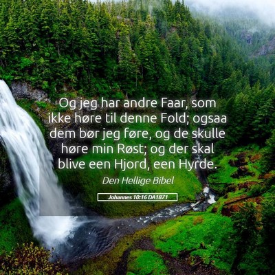 Picture 05 - Johannes 10:16 DA1871 - Og jeg har andre Faar, som ikke høre til denne - Bible Verse Picture