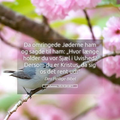 Picture 05 - Johannes 10:24 DA1871 - Da omringede Jøderne ham og sagde til ham: - Bible Verse Picture